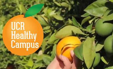 Healthy Campus - Spring 2020